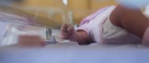 ​Naissance au Brésil  du premier bébé grâce à une greffe d'utérus