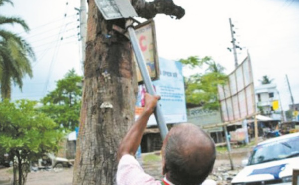 Au Bangladesh, le combat d'un homme pour sauver les arbres un par un