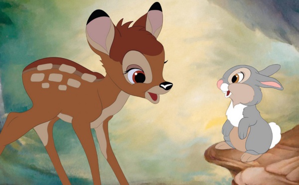 Insolite : Un braconnier condamné à visionner "Bambi"