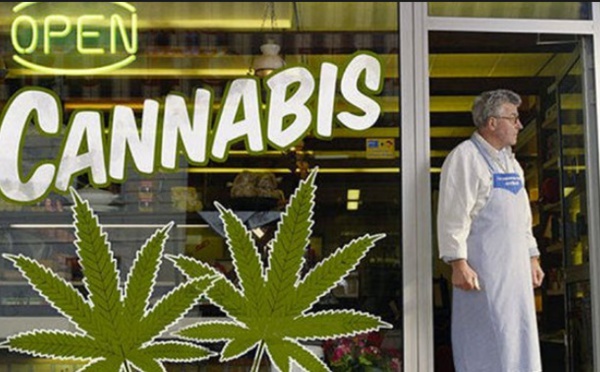 Le prix du cannabis au Canada en hausse après la légalisation