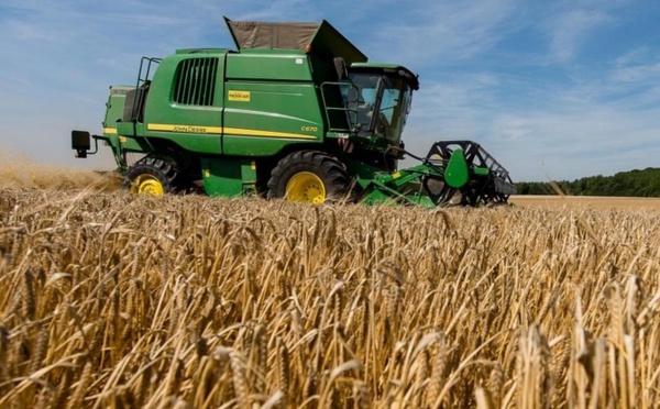 Benslimane enregistre un total de 93 mille ha emblavés en céréales d'automne
