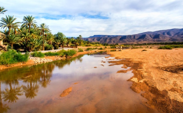 Les oasis à l'épreuve du réchauffement climatique