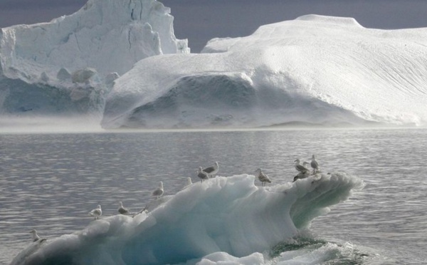 La fonte des glaces au Groenland multipliée par quatre en dix ans