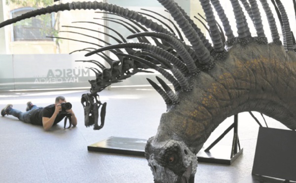 Un dinosaure se défendant avec ses épines découvert en Argentine