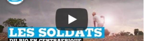 Une ferme biologique forme des "soldats de la terre" à Bangui