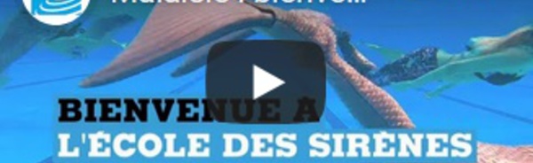 Malaisie : bienvenue à l'école des sirènes