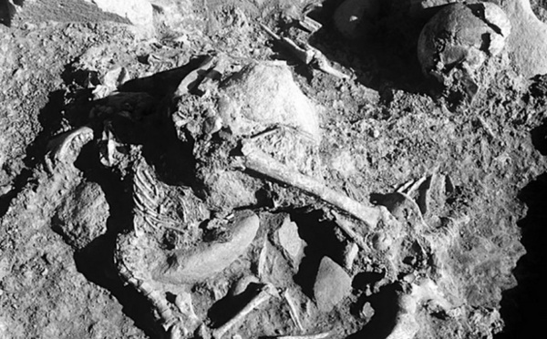 Des hommes préhistoriques aimaient leurs chiens, jusque dans la tombe
