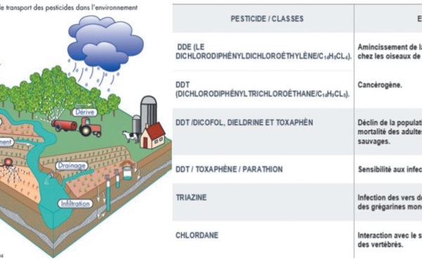 Pesticide bio et non bio, où est la différence ?