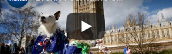 Brexit : semaine cruciale pour l'avenir du Royaume-Uni