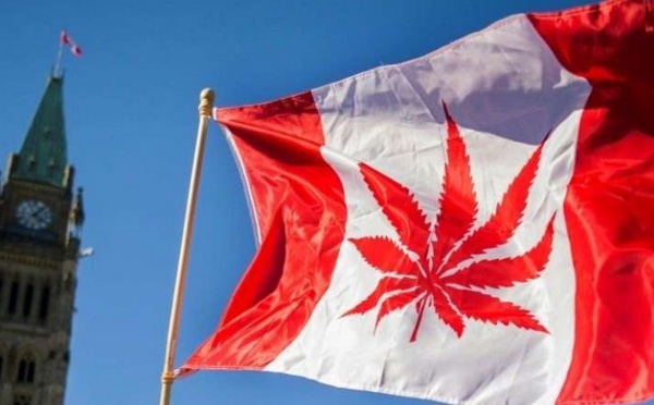 Pour de jeunes Canadiennes, le cannabis permet d'être une meilleure mère
