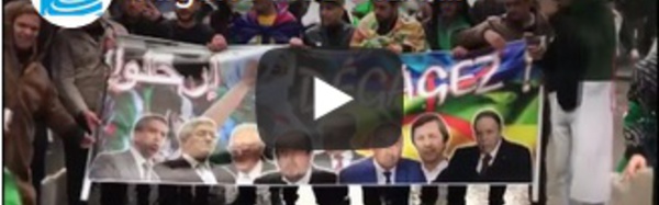 Algérie : les manifestants rejettent le soutien du FLN au mouvement