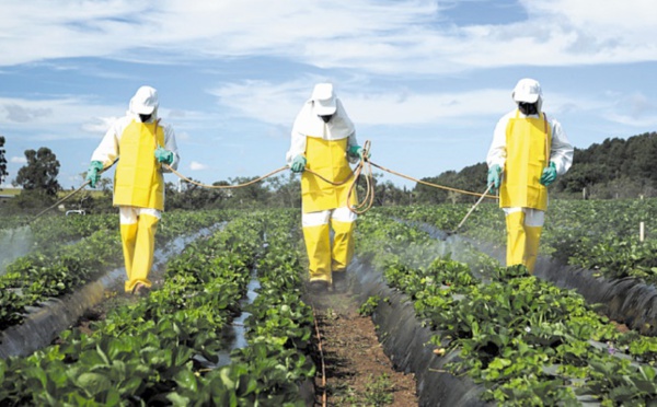 Innovation et modernité, maîtres mots de l'agriculture suisse