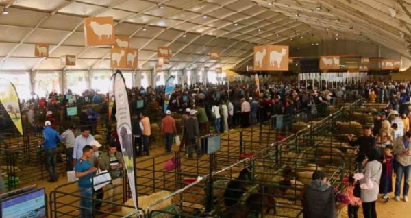 Le Maroc et le Bénin renforcent leur coopération agricole