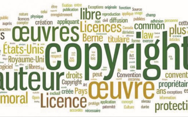 Vers une protection effective du livre et des droits d'auteur