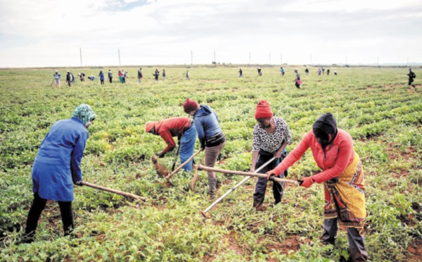 A Coligny, le long chemin de la réconciliation entre les races