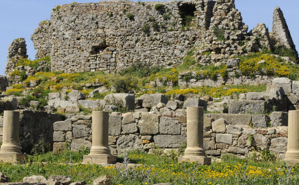 Ouverture du site archéologique Lixus aux  tournages cinématographiques et documentaires