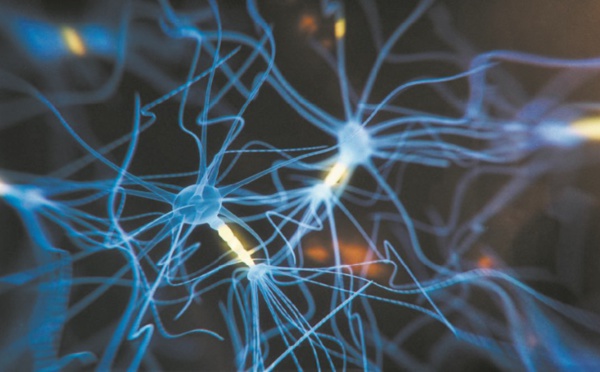 Quand un implant cérébral transforme les pensées en paroles