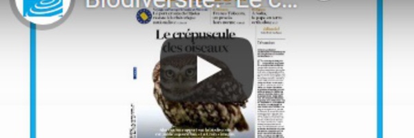 Revue de presse internationale