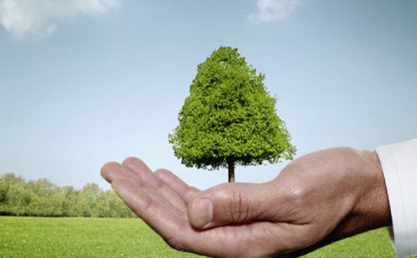L’intégration de la dimension environnementale dans les programmes des collectivités territoriales