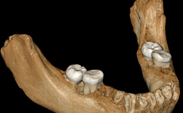 L'homme de Denisova a réussi à vivre sur le plateau tibétain il y a 160.000 ans