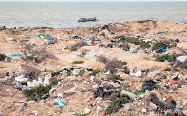Tourisme : La Tunisie veut partir en guerre contre le terrorisme environnemental