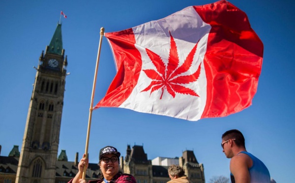 Au Canada, davantage de nouveaux consommateurs de cannabis depuis la légalisation