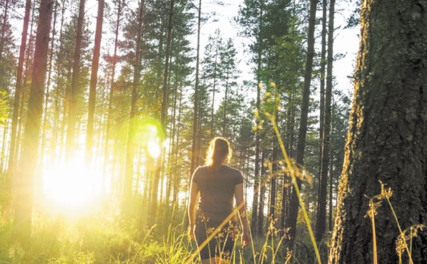 Pour protéger la nature et l'Homme, la science prône des changements profonds