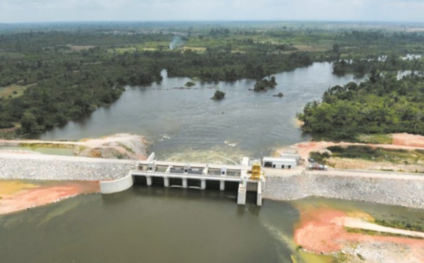 Deux tiers des plus longs cours d'eau entravés par l'Homme