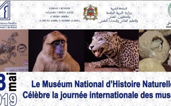 La faune et la flore à l’honneur lors de la journée internationale des musées
