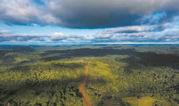 Quand la déforestation transforme l'Amazonie en baril de poudre