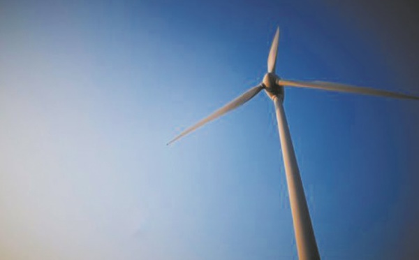 Mystère autour d'éoliennes accusées de tuer des vaches