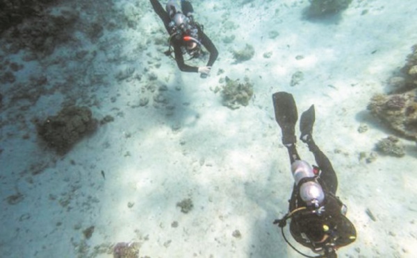 Dans les eaux bleues de la mer Rouge : Le regain du tourisme menace les coraux