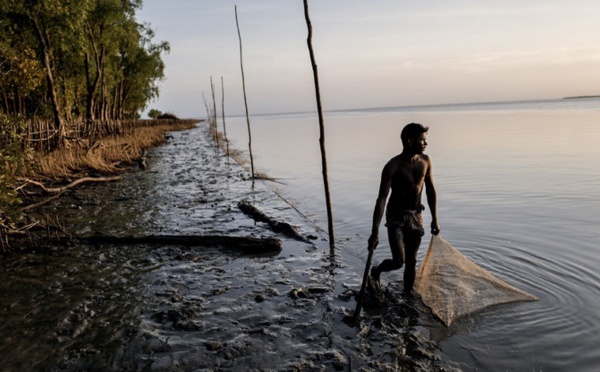 Des antibiotiques dans les rivières du monde entier