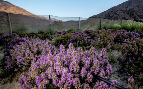 Imegdale, une “success story” environnementale