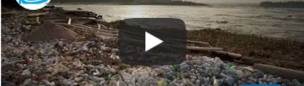 Le fleuve Congo, artère du deuxième poumon de la planète, menacé