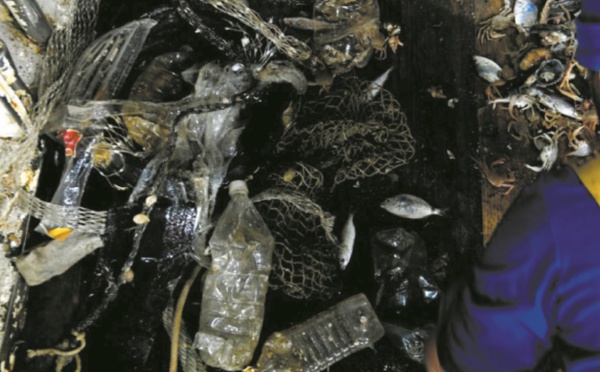 A la pêche au plastique dans l'Adriatique