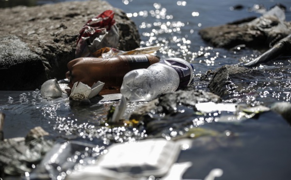 Les humains ingèrent des dizaines de milliers de particules de plastique par an
