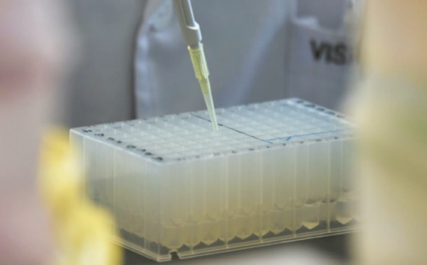 Une nouvelle technique d'édition génétique évite les mutations non désirées