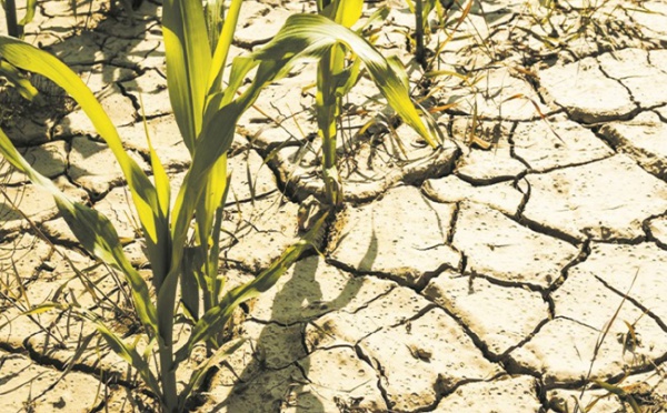 Le réchauffement climatique pourrait menacer 80 millions d’emplois d’ici 2030