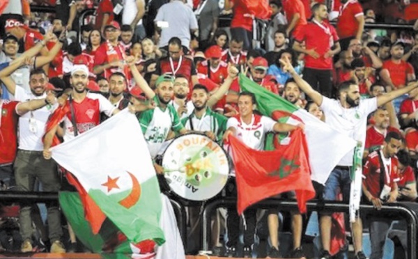 Fans des Lions et des Fennecs sous le signe de la fraternité