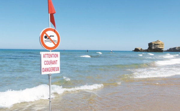 Rip Current, redoutable tueur en série des baigneurs