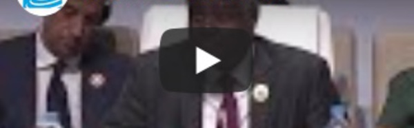 Sommet de l'Union africaine : lancement "historique" de la zone de libre-échange africaine (ZLEC)