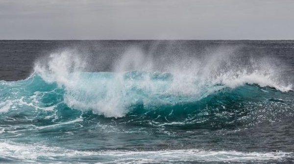 Antibiotiques, additifs alimentaires et pesticides retrouvés en mer