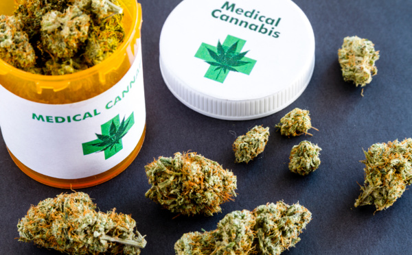 Le cannabis médical, entre bienfaits thérapeutiques et économiques