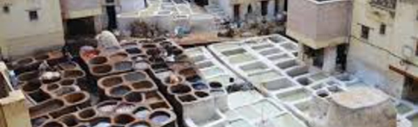 Plus de 172 MDH consacrés à la réalisation de projets dans la filière du cuir à Fès