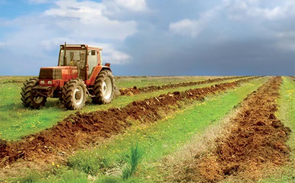 Performance satisfaisante  des activités non agricoles
