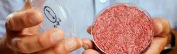 La viande de laboratoire en réponse à une demande mondiale croissante