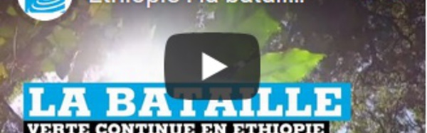 Éthiopie : la bataille verte