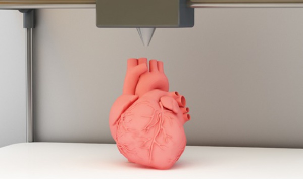 Des scientifiques américains impriment des parties fonctionnelles du coeur