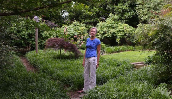 Des citadins transforment leur jardin en vraie jungle sauvage